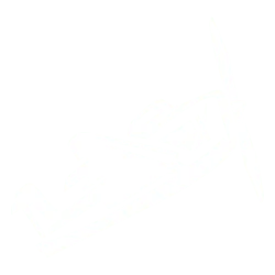 Aviator Roo casino Play Aviator Roo casino